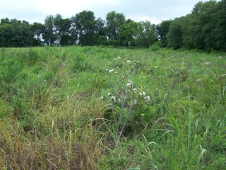 Filename=100_4332.JPG
Filesize=2424KiB
Dimensions=2832x2128
Date added=Sep 28, 2019 100_4332.JPG