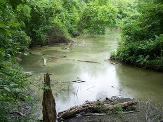 Filename=100_4336.JPG
Filesize=2410KiB
Dimensions=2832x2128
Date added=Sep 28, 2019 100_4336.JPG