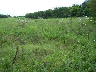 Filename=100_4340.JPG
Filesize=2364KiB
Dimensions=2832x2128
Date added=Sep 28, 2019 100_4340.JPG