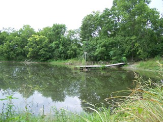 Filename=100_4342.JPG
Filesize=2029KiB
Dimensions=2832x2128
Date added=Sep 28, 2019 100_4342.JPG