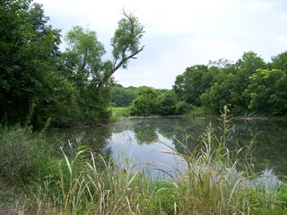 Filename=100_4343.JPG
Filesize=1901KiB
Dimensions=2832x2128
Date added=Sep 28, 2019 100_4343.JPG