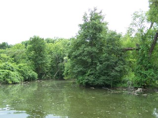 Filename=100_4344.JPG
Filesize=1825KiB
Dimensions=2832x2128
Date added=Sep 28, 2019 100_4344.JPG