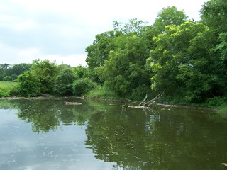 Filename=100_4345.JPG
Filesize=1525KiB
Dimensions=2832x2128
Date added=Sep 28, 2019 100_4345.JPG