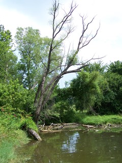 Filename=100_4346.JPG
Filesize=2140KiB
Dimensions=2128x2832
Date added=Sep 28, 2019 100_4346.JPG