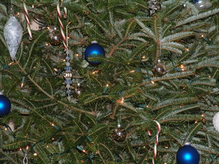 Filename=Christmas_Eve_2001_092.jpg
Filesize=1213KiB
Dimensions=2048x1536
Date added=Sep 28, 2019 Christmas_Eve_2001_092.jpg