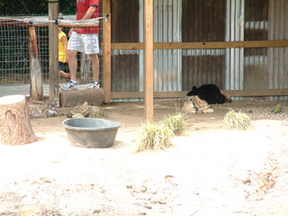 Filename=DSCF0015.JPG
Filesize=1360KiB
Dimensions=2048x1536
Date added=Sep 28, 2019 DSCF0015.JPG