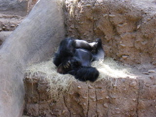 Filename=DSCF4331.JPG
Filesize=1814KiB
Dimensions=3264x2448
Date added=Sep 28, 2019 DSCF4331.JPG