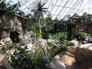 Filename=DSCF4332.JPG
Filesize=1790KiB
Dimensions=3264x2448
Date added=Sep 28, 2019 DSCF4332.JPG