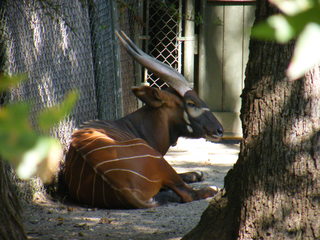 Filename=DSCF4343.JPG
Filesize=1891KiB
Dimensions=3264x2448
Date added=Sep 28, 2019 DSCF4343.JPG