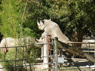 Filename=DSCF4348.JPG
Filesize=1890KiB
Dimensions=3264x2448
Date added=Sep 28, 2019 DSCF4348.JPG