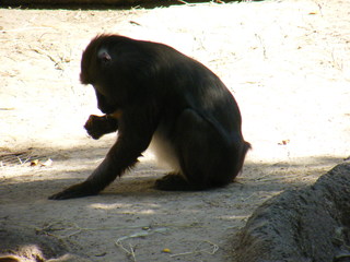 Filename=DSCF4350.JPG
Filesize=1800KiB
Dimensions=3264x2448
Date added=Sep 28, 2019 DSCF4350.JPG