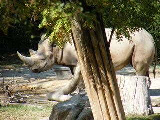 Filename=DSCF4354.JPG
Filesize=1923KiB
Dimensions=3264x2448
Date added=Sep 28, 2019 DSCF4354.JPG