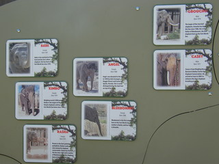 Filename=DSCF4366.JPG
Filesize=1814KiB
Dimensions=3264x2448
Date added=Sep 28, 2019 DSCF4366.JPG