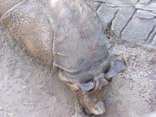 Filename=DSCF4423.JPG
Filesize=1813KiB
Dimensions=3264x2448
Date added=Sep 28, 2019 DSCF4423.JPG