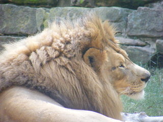 Filename=DSCF4437.JPG
Filesize=1866KiB
Dimensions=3264x2448
Date added=Sep 28, 2019 DSCF4437.JPG