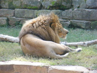 Filename=DSCF4438.JPG
Filesize=1813KiB
Dimensions=3264x2448
Date added=Sep 28, 2019 DSCF4438.JPG