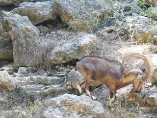 Filename=DSCF4449.JPG
Filesize=1892KiB
Dimensions=3264x2448
Date added=Sep 28, 2019 DSCF4449.JPG