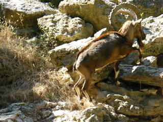 Filename=DSCF4450.JPG
Filesize=1862KiB
Dimensions=3264x2448
Date added=Sep 28, 2019 DSCF4450.JPG