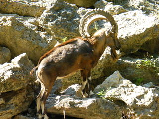 Filename=DSCF4452.JPG
Filesize=1906KiB
Dimensions=3264x2448
Date added=Sep 28, 2019 DSCF4452.JPG