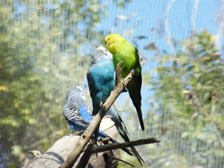 Filename=DSCF4465.JPG
Filesize=1842KiB
Dimensions=3264x2448
Date added=Sep 28, 2019 DSCF4465.JPG