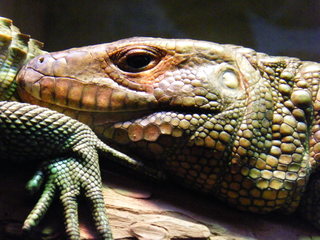 Filename=DSCF4485.JPG
Filesize=1764KiB
Dimensions=3264x2448
Date added=Sep 28, 2019 DSCF4485.JPG