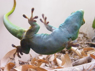 Filename=DSCF4488.JPG
Filesize=1789KiB
Dimensions=3264x2448
Date added=Sep 28, 2019 DSCF4488.JPG