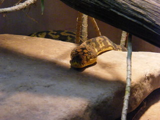 Filename=DSCF4500.JPG
Filesize=1878KiB
Dimensions=3264x2448
Date added=Sep 28, 2019 DSCF4500.JPG