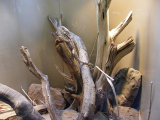 Filename=DSCF4507.JPG
Filesize=1945KiB
Dimensions=3264x2448
Date added=Sep 28, 2019 DSCF4507.JPG