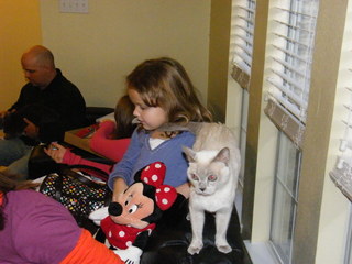 Filename=DSCF4640.JPG
Filesize=1815KiB
Dimensions=3264x2448
Date added=Sep 28, 2019 DSCF4640.JPG