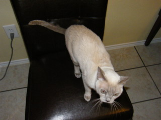 Filename=DSCF4644.JPG
Filesize=1965KiB
Dimensions=3264x2448
Date added=Sep 28, 2019 DSCF4644.JPG