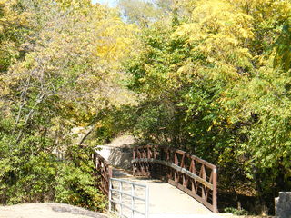 Filename=DSCF6194.JPG
Filesize=3317KiB
Dimensions=3264x2448
Date added=Sep 28, 2019 DSCF6194.JPG