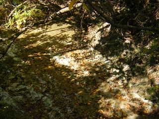 Filename=DSCF6199.JPG
Filesize=2931KiB
Dimensions=3264x2448
Date added=Sep 28, 2019 DSCF6199.JPG