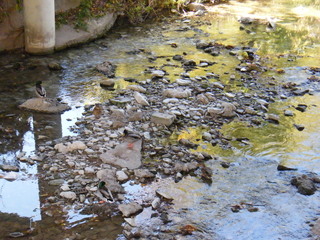 Filename=DSCF6200.JPG
Filesize=3056KiB
Dimensions=3264x2448
Date added=Sep 28, 2019 DSCF6200.JPG