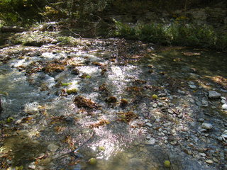 Filename=DSCF6207.JPG
Filesize=3152KiB
Dimensions=3264x2448
Date added=Sep 28, 2019 DSCF6207.JPG