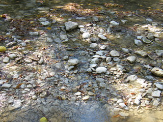 Filename=DSCF6208.JPG
Filesize=3091KiB
Dimensions=3264x2448
Date added=Sep 28, 2019 DSCF6208.JPG