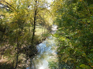 Filename=DSCF6212.JPG
Filesize=3335KiB
Dimensions=3264x2448
Date added=Sep 28, 2019 DSCF6212.JPG