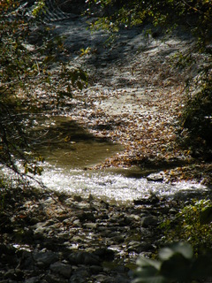 Filename=DSCF6213.JPG
Filesize=3132KiB
Dimensions=2448x3264
Date added=Sep 28, 2019 DSCF6213.JPG