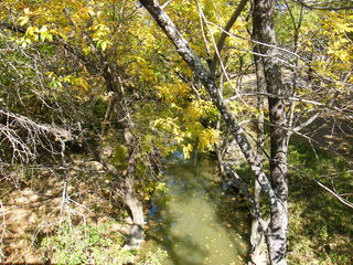 Filename=DSCF6214.JPG
Filesize=3304KiB
Dimensions=3264x2448
Date added=Sep 28, 2019 DSCF6214.JPG