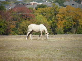 Filename=DSCF6218.JPG
Filesize=3399KiB
Dimensions=3264x2448
Date added=Sep 28, 2019 DSCF6218.JPG