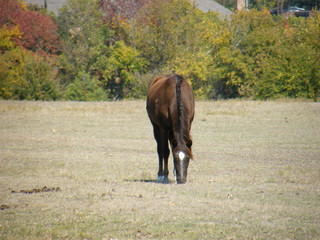 Filename=DSCF6220.JPG
Filesize=3126KiB
Dimensions=3264x2448
Date added=Sep 28, 2019 DSCF6220.JPG