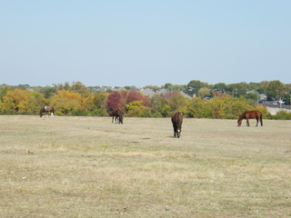 Filename=DSCF6221.JPG
Filesize=3093KiB
Dimensions=3264x2448
Date added=Sep 28, 2019 DSCF6221.JPG