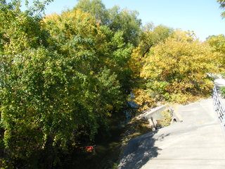 Filename=DSCF6223.JPG
Filesize=3083KiB
Dimensions=3264x2448
Date added=Sep 28, 2019 DSCF6223.JPG