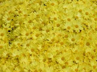 Filename=DSCF6230.JPG
Filesize=3029KiB
Dimensions=3264x2448
Date added=Sep 28, 2019 DSCF6230.JPG