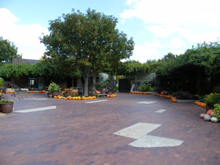 Filename=DSCF6233.JPG
Filesize=2808KiB
Dimensions=3264x2448
Date added=Sep 28, 2019 DSCF6233.JPG