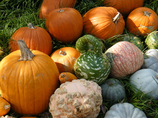 Filename=DSCF6244.JPG
Filesize=3153KiB
Dimensions=3264x2448
Date added=Sep 28, 2019 DSCF6244.JPG