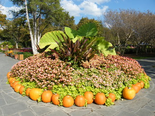 Filename=DSCF6247.JPG
Filesize=3122KiB
Dimensions=3264x2448
Date added=Sep 28, 2019 DSCF6247.JPG