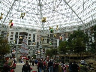 Filename=DSCF6302.JPG
Filesize=2929KiB
Dimensions=3264x2448
Date added=Sep 28, 2019 DSCF6302.JPG