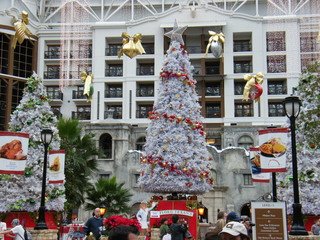 Filename=DSCF6306.JPG
Filesize=3196KiB
Dimensions=3264x2448
Date added=Sep 28, 2019 DSCF6306.JPG