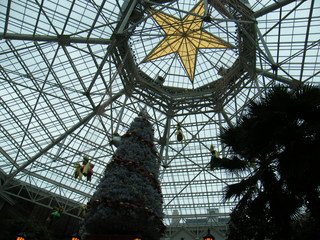 Filename=DSCF6311.JPG
Filesize=3000KiB
Dimensions=3264x2448
Date added=Sep 28, 2019 DSCF6311.JPG