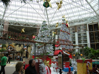 Filename=DSCF6321.JPG
Filesize=3118KiB
Dimensions=3264x2448
Date added=Sep 28, 2019 DSCF6321.JPG